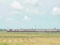 兰州飞牛物流有限公司