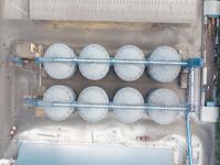 经由中国深圳将茶叶寄到美国西雅图