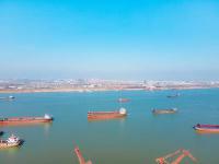 青岛星展国际物流有限公司相关概要