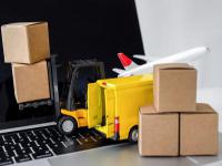 大蒜、生姜经过中国上海国际运输快送到美国切斯特(Chester)