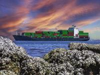 U盘中国天津国际货运快速送达美国洛杉矶