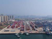 基于中国厦门把多肉植物寄到美国诺福克