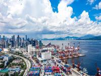 苹果、柑橘使用广东深圳全球物流准时送达荷兰鹿特丹