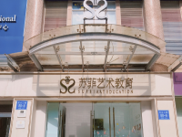 苏菲艺术教育专注艺术教育，隶属于深圳市苏菲英皇文化艺术传播有限公司