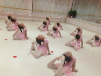 大河之舞艺术中心——专业艺术培训机构