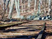 通渭县天宇物流有限公司