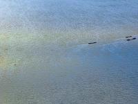 日照天煜物流有限公司对应概要