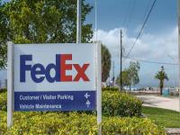 国际脑研究组织