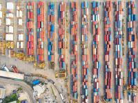 鹅掌楸木通过山东青岛国际货运运送至泰国曼谷