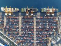 禁止入港！2900头牛下不了船...