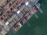 水飞蓟籽通过江苏苏州国际货运及时送达以色列耶路撒冷