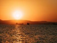 丽德物流（武汉）有限公司相应概要