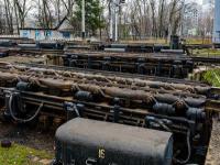 蜜饯果干类经过中国长春国际快递高效送达诺福克