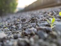 酒泉龙兴物流有限责任公司