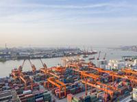 佰品物流单号查询