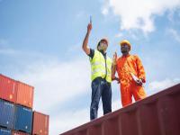 紫鸟超级浏览器的使用指南(新手操作指南）