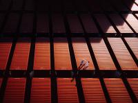 广州到纽约冷藏船整舱运输全封闭海运通道