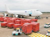 纽酷国际美国fba空运服务优势