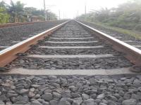 美国华中快递官网,美国华中快递官网查询