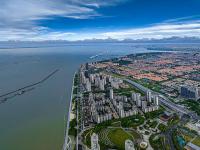 钢丝利用广东广州外贸物流快速送达日本东京