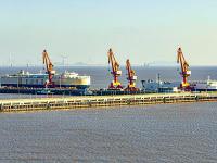 基于深圳将粽子邮寄到美国萨凡纳