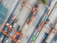 抖音电商：“茂名荔枝”订单量增长超过21倍