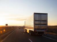 国际航运是做什么的，国际航运是啥专业